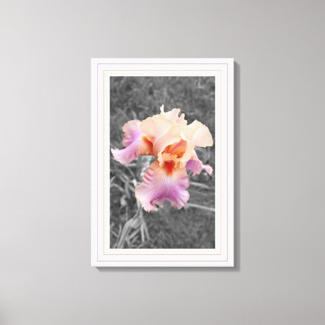 Peachy Purple Canvas Print (Front)