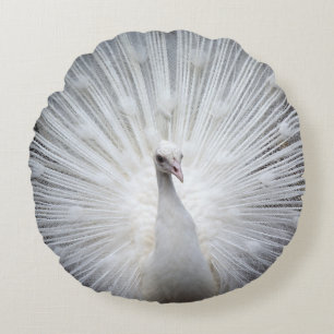 Peacock20160401 Round Pillow