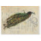 Peacock 18lb Decoupage Sheet Left