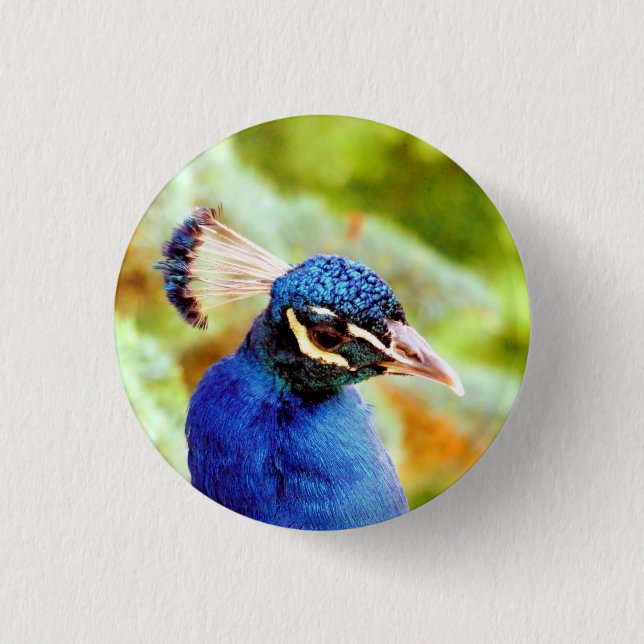 PEACOCK   1 INCH ROUND BUTTON (Front)