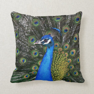 Peacock 20 X 20 Pillow