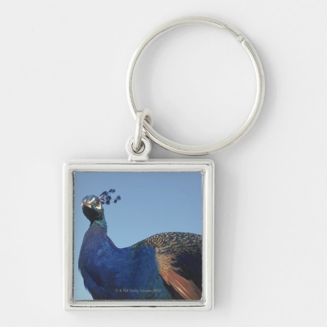 Peacock 2 keychain (Front)
