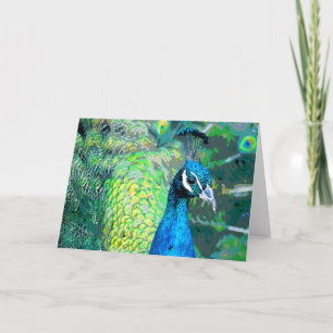 Peacock #3-Greeting card