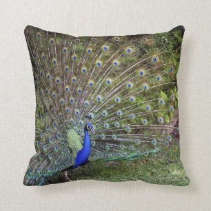 Peacock Accent Pillow