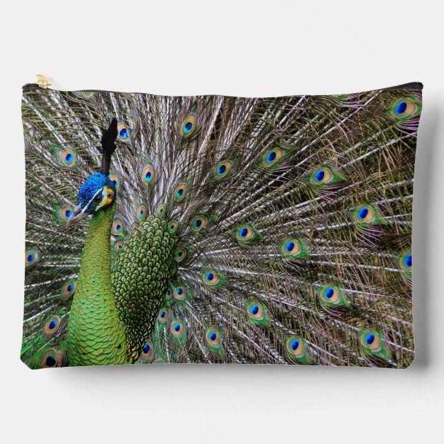 Peacock Accessory Pouch (Front)