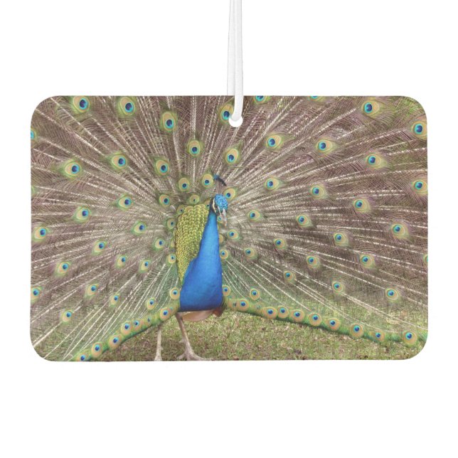 Peacock Air Freshener (Front)