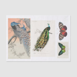 Peacock and butterfly decoupage tissue paper