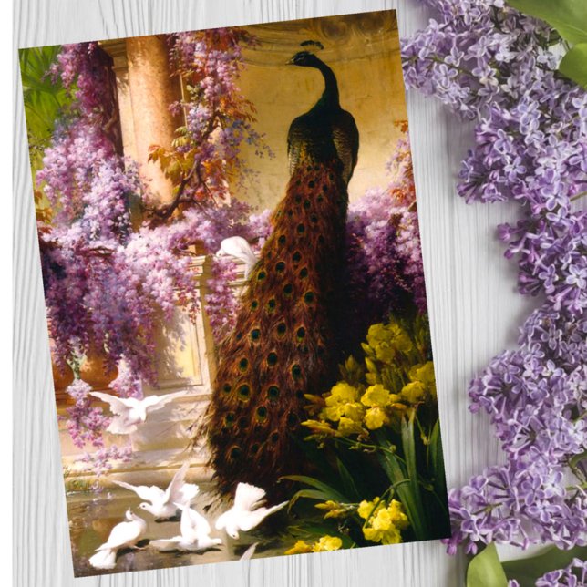 Peacock and Doves in a Garden Card (Creator Uploaded)