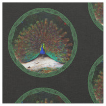 Peacock and Peacock Butterfly