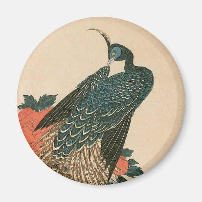 Peacock and Peonies by Hiroshige, Japanese Art Magnet (Front)