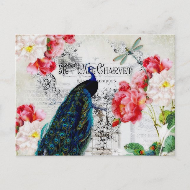 Peacock and roses postcard (Front)