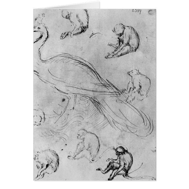 Peacock and Six Monkeys (Front)