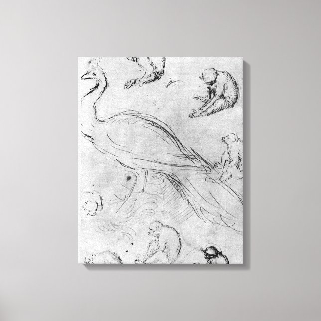 Peacock and Six Monkeys Canvas Print (Front)