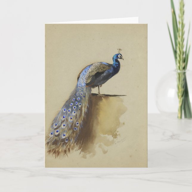 Peacock | Archibald Thorburn Card (Front)