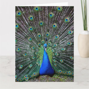 PEACOCK ART BIG BIRTHDAY GREETING CARD