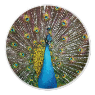 Peacock Art in Jewel Tone Colours Ceramic Knob