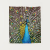 Peacock Art in Jewel Tone Colours