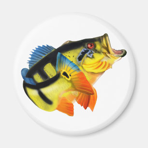 Peacock Bass 3 Magnet