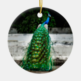 peacock beautiful feather art colours ceramic ornament