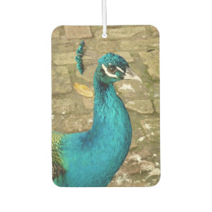 Peacock Beautiful Nature Photography Air Freshener
