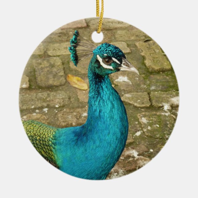 Peacock Beautiful Nature Photography Ceramic Ornament (Front)