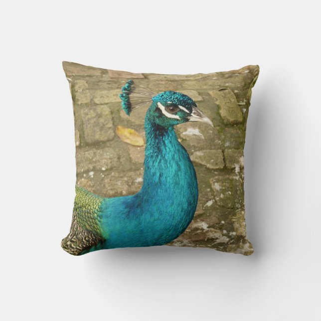 Peacock Beautiful Nature Photography Throw Pillow (Front)