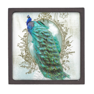peacock beautiful turquoise vintage shabby bird keepsake box