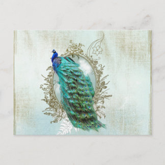 peacock beautiful turquoise vintage shabby bird postcard