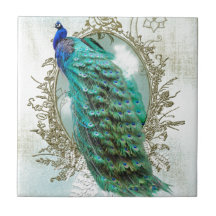 peacock beautiful turquoise vintage shabby bird