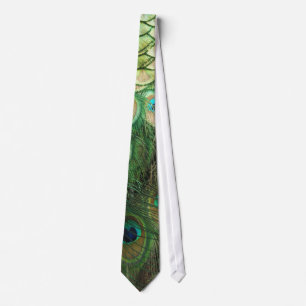 Peacock Beauty - Tie