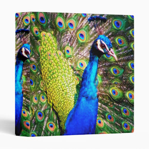 Peacock_Binder Binder