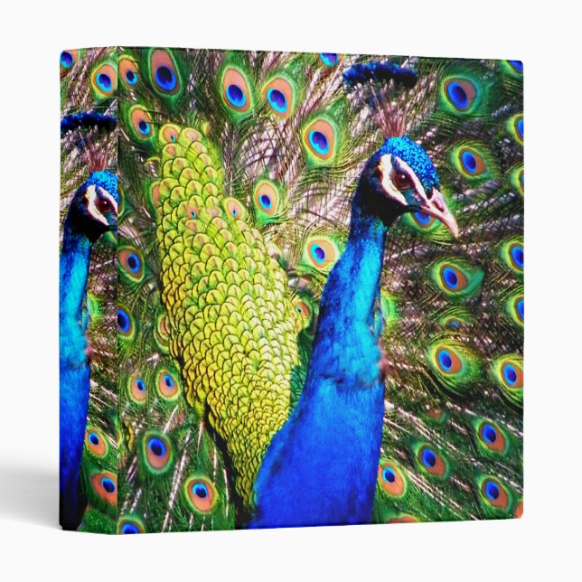 Peacock_Binder Binder (Front/Spine)