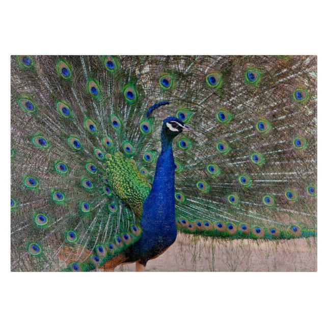 Peacock bird display cutting board (Front)