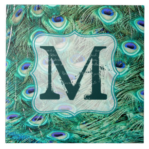 Peacock Bird Feather Teal Monogram Display Tile