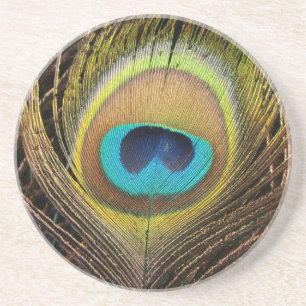 Peacock Bird Feathers Wildlife Animals Coaster