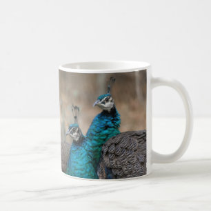Peacock Bird Feathers Wildlife Animals Coffee Mug