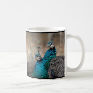 Peacock Bird Feathers Wildlife Animals Coffee Mug