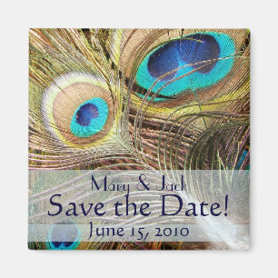 Peacock Bird Feathers Wildlife Animals Magnet