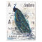 Peacock Bird French Typography Ad Blue Decoupage  