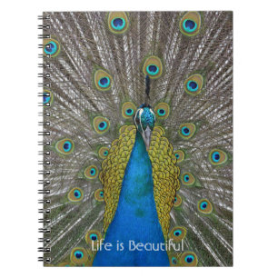 Peacock Bird Kauai (my photography) Notebook