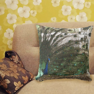 Peacock Bird Plumage and Albino Peahen Photograph Throw Pillow