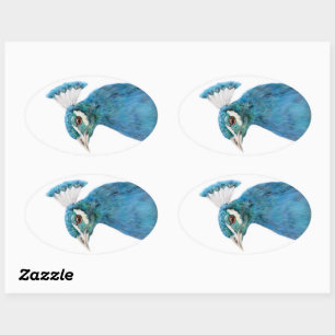 Peacock bird sticker Oval