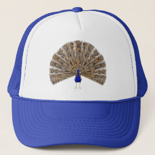 Peacock Blue Hat