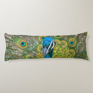 Peacock Blue Head with and Colourful Tail Feathers Body Pillow