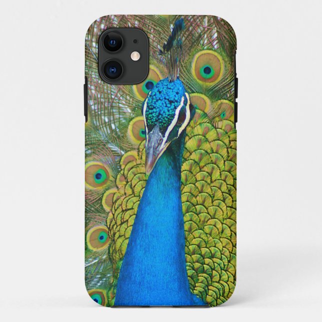 Peacock Blue Head with and Colourful Tail Feathers Case-Mate iPhone Case (Back)