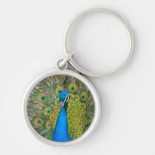 Peacock Blue Head with and Colourful Tail Feathers Keychain