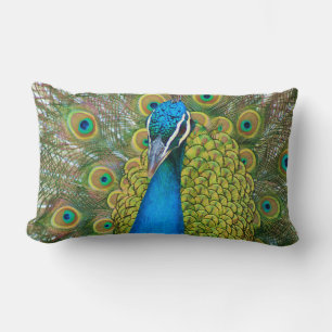 Peacock Blue Head with and Colourful Tail Feathers Lumbar Pillow