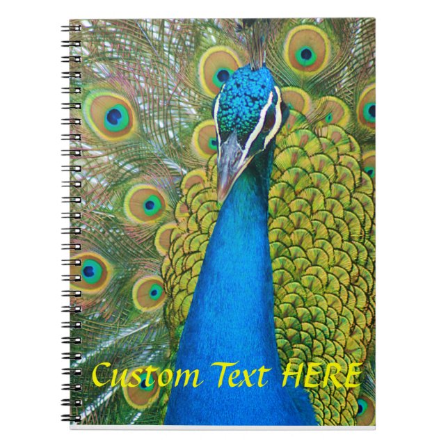 Peacock Blue Head with and Colourful Tail Feathers Notebook (Front)