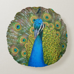 Peacock Blue Head with and Colourful Tail Feathers Round Pillow