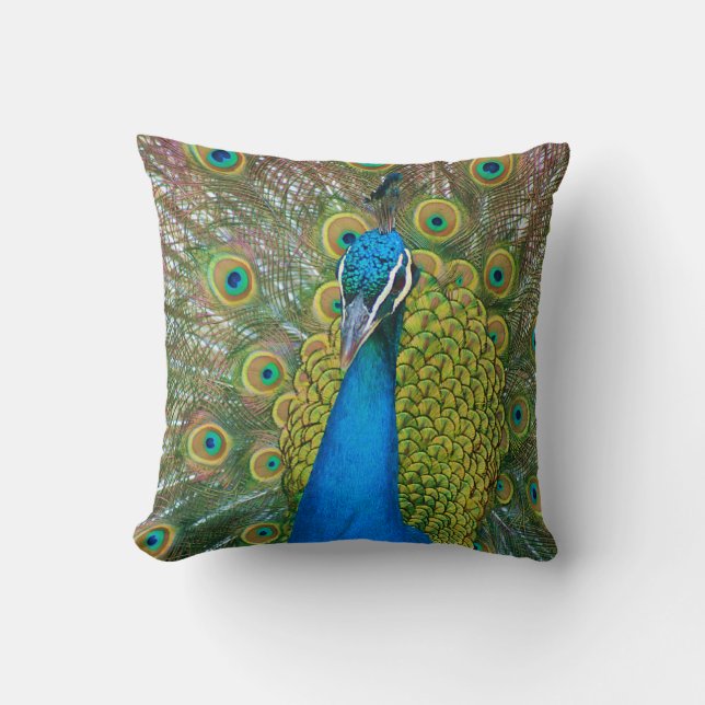 Peacock Blue Head with and Colourful Tail Feathers Throw Pillow (Front)